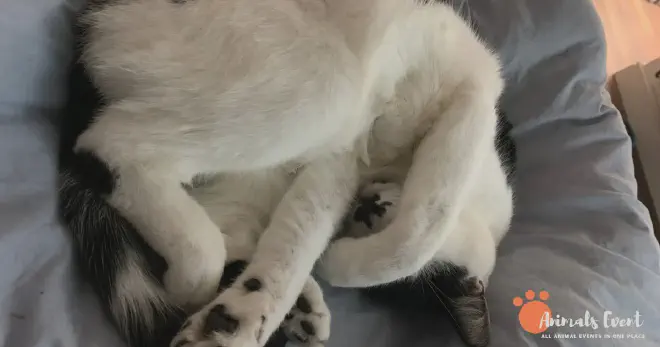 To Keep Heat In