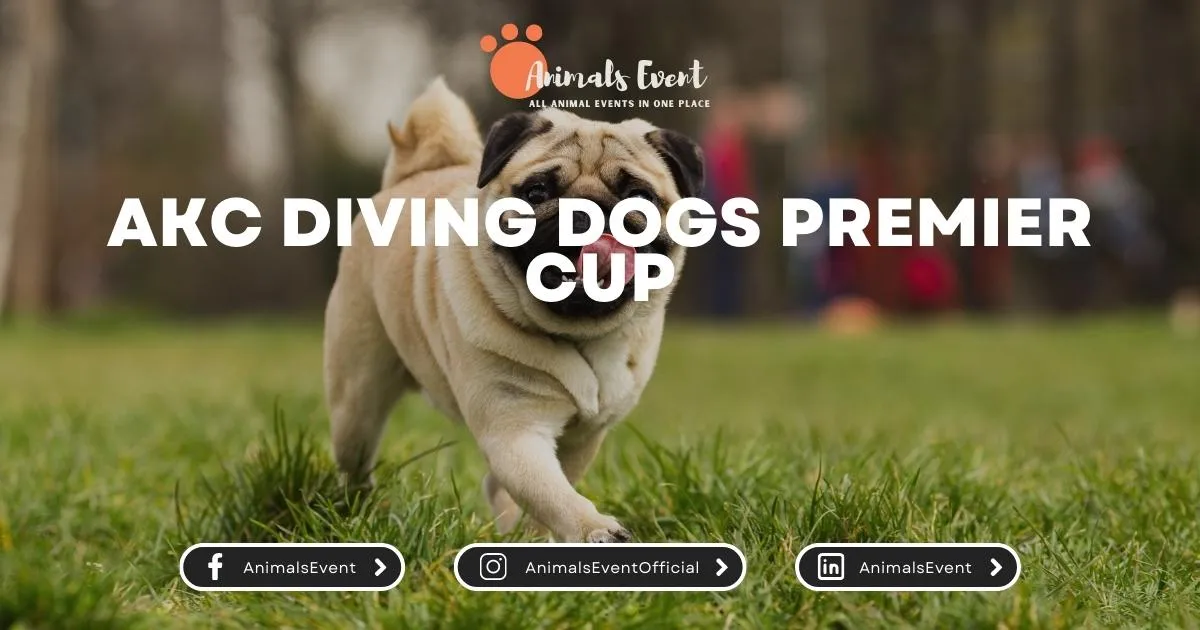AKC Diving Dogs Premier Cup