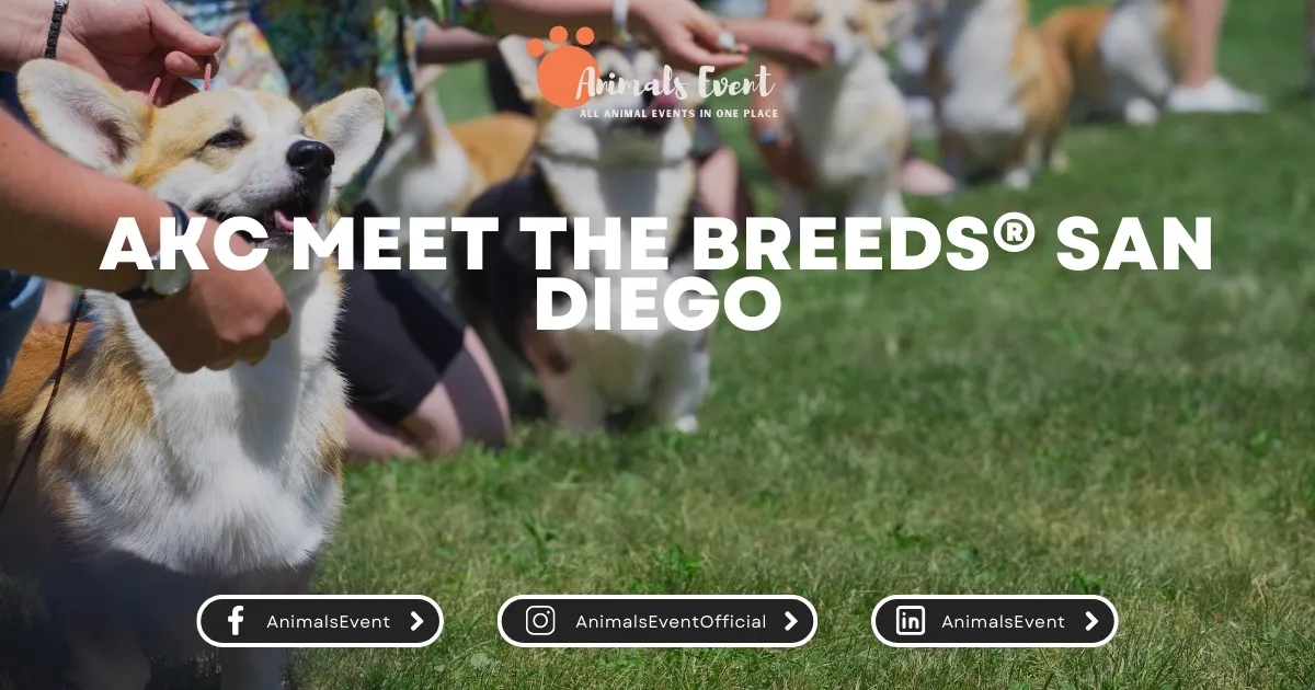 AKC Meet the Breeds® San Diego