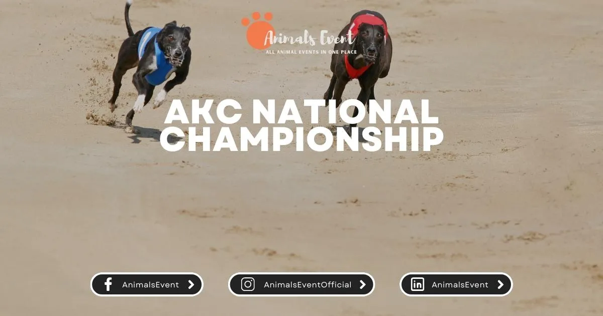 AKC National Championship