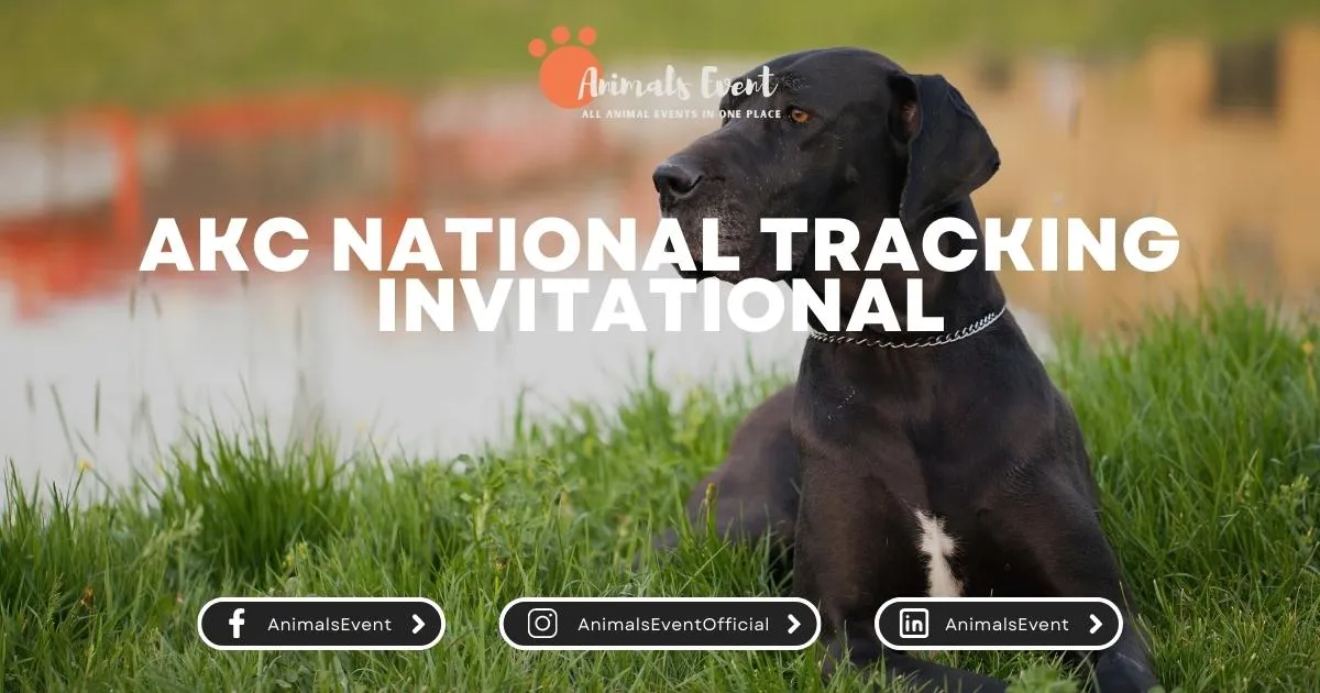 AKC National Tracking Invitational