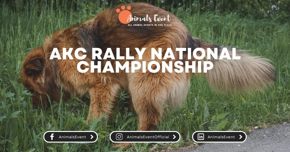 AKC Rally National Championship