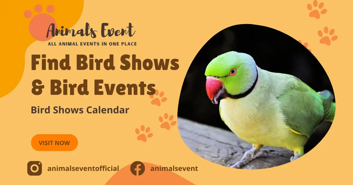 Discover All 2024 2025 Bird Shows Near Me Easily Together