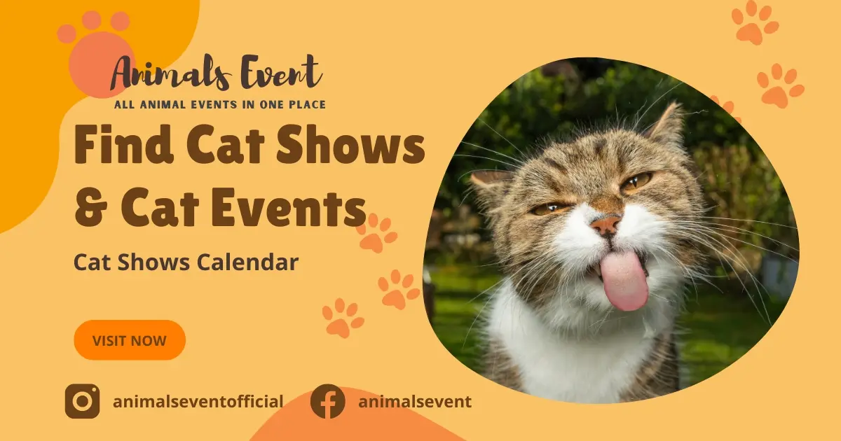 Easily Find All 2024 2025 Cat Shows Near Me In One Place