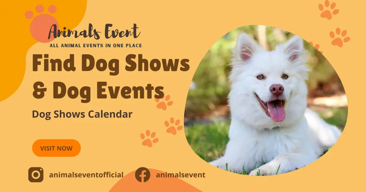 Easily Find All 2024 2025 Dog Shows Near Me