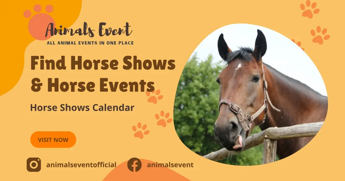 Easily Find All 2024 2025 Horse Shows Near Me At One Place