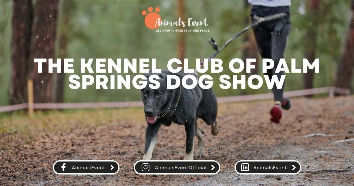 The Kennel Club Of Palm Springs Dog Show Animals Event