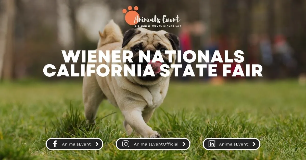 Wiener Nationals California State fair
