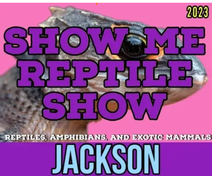 Jackson Reptile Expo Animals Event