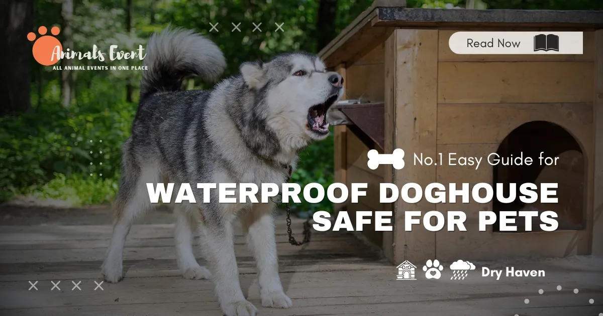 No.1 Easy Guide for Waterproof Doghouse Safe for Pets Dry Haven