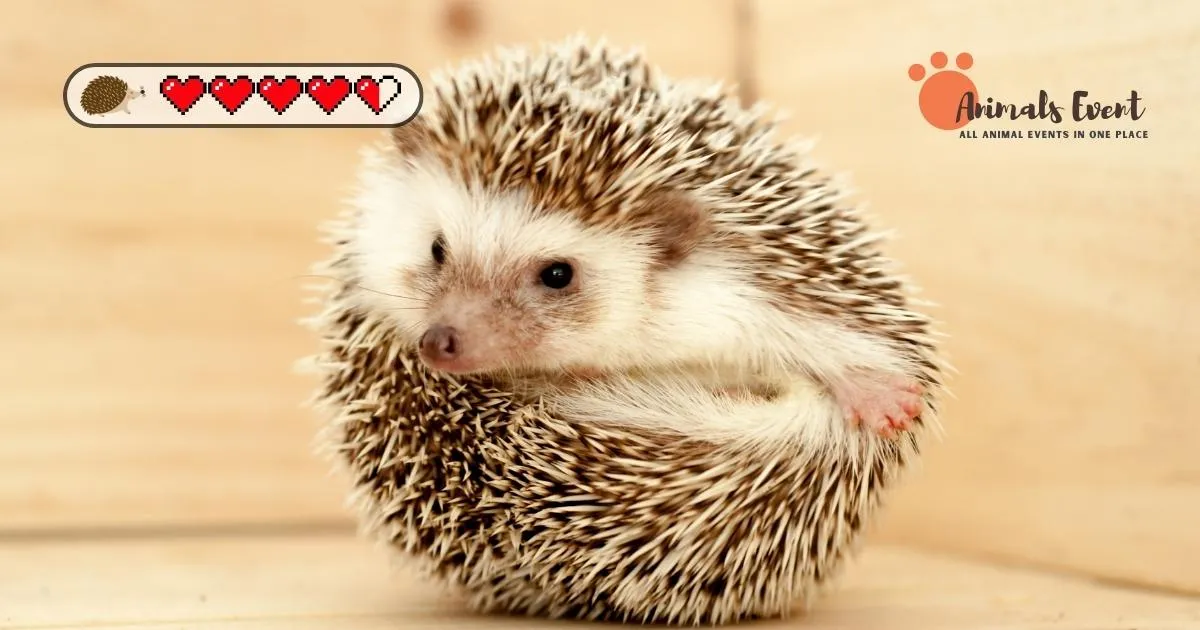 Hedgehog Lifespan: A Comprehensive Guide to Understanding and Caring for Your Spiky Companion