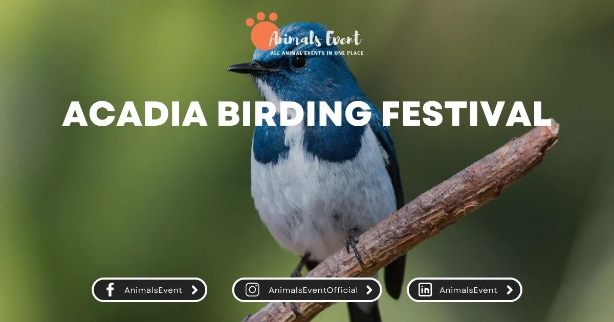 Acadia Birding Festival