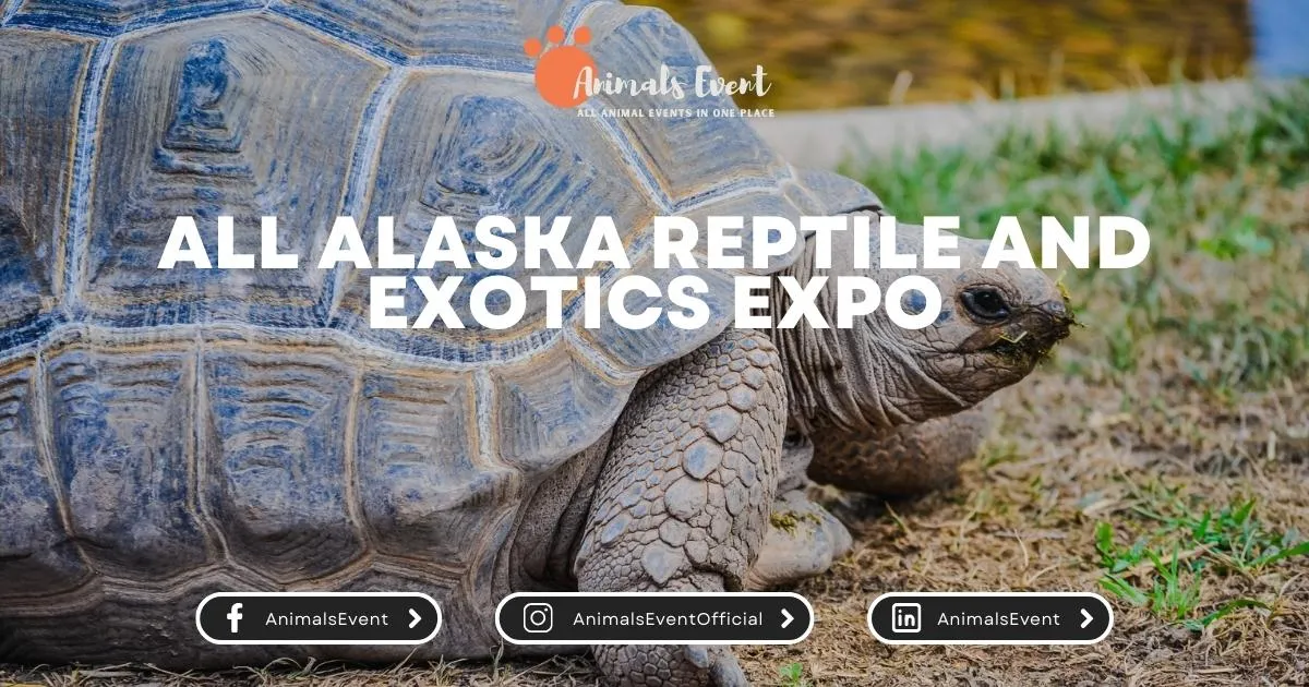 All Alaska Reptile and Exotics Expo