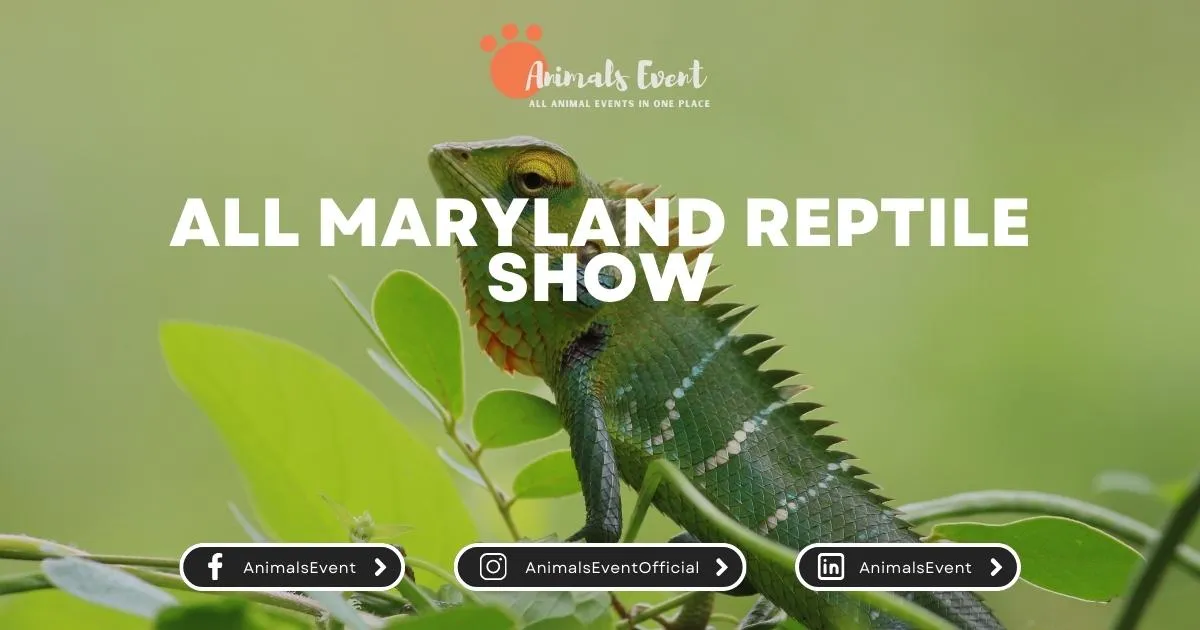 2024 Pet Expo And Animals Events Maryland Animals Event