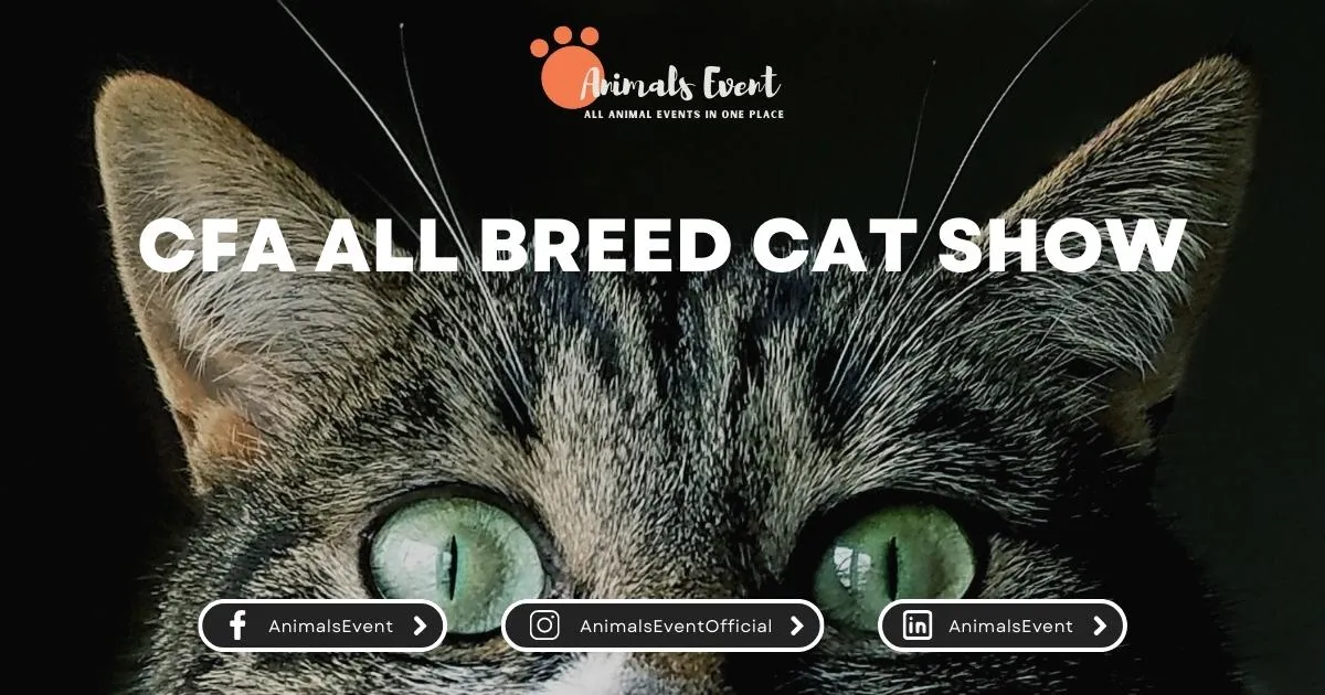 CFA All breed Cat Show