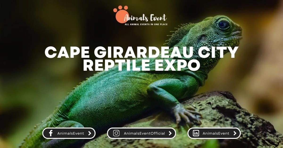 Cape Girardeau City Reptile Expo