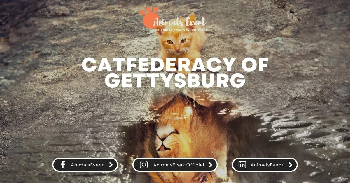 Catfederacy of Gettysburg