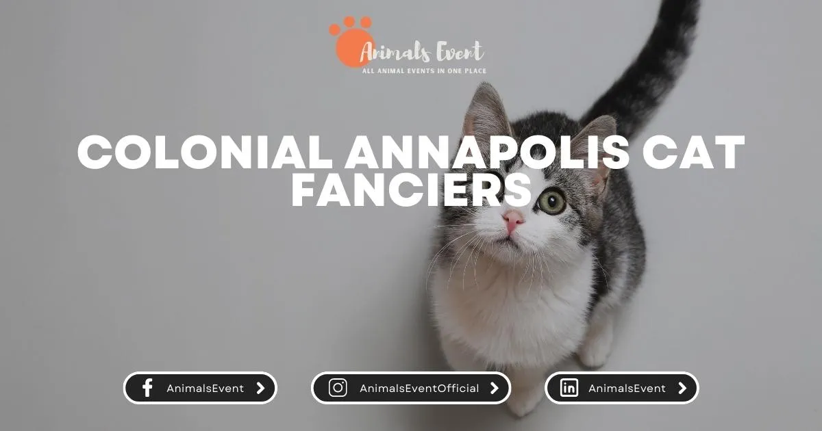 Colonial Annapolis Cat Fanciers
