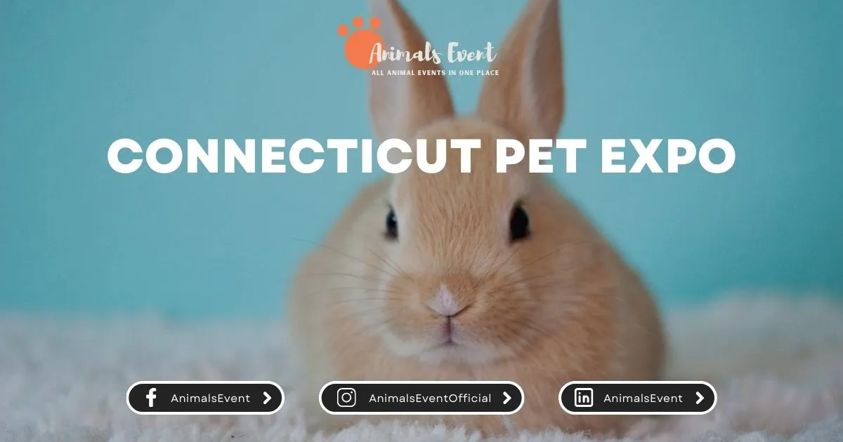 Connecticut PET EXPO