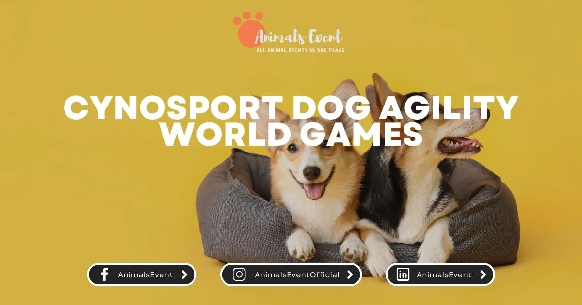 Cynosport Dog Agility World Games