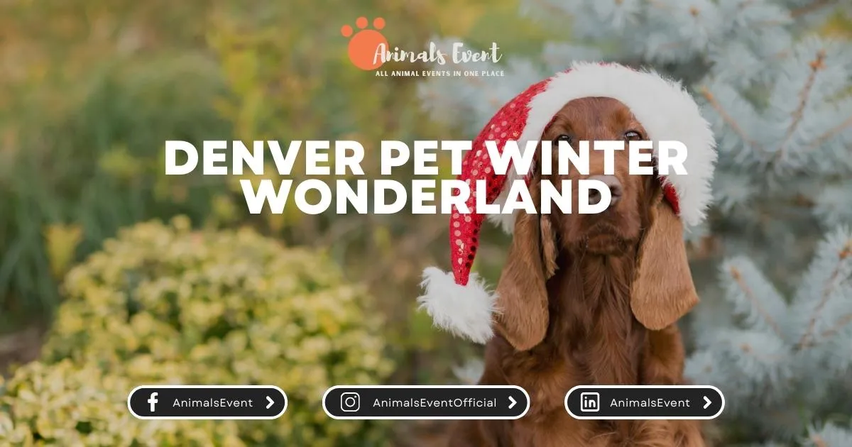 Denver Pet Winter Wonderland