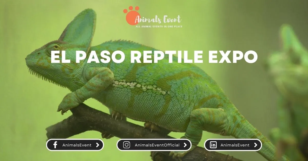 El Paso Reptile Expo