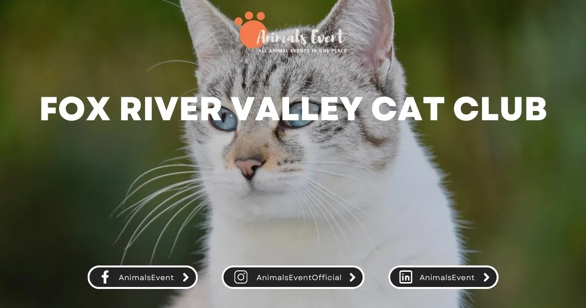 Fox River Valley Cat Club