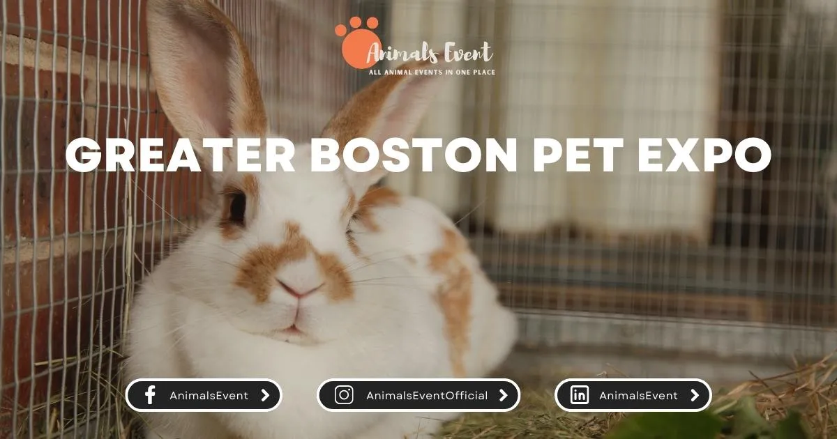 Greater Boston PET EXPO