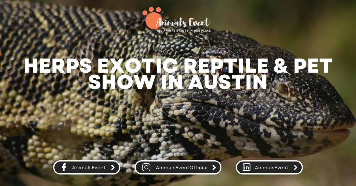 HERPS Exotic Reptile & Pet Show in Austin