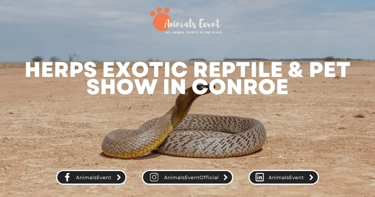HERPS Exotic Reptile & Pet Show in Conroe