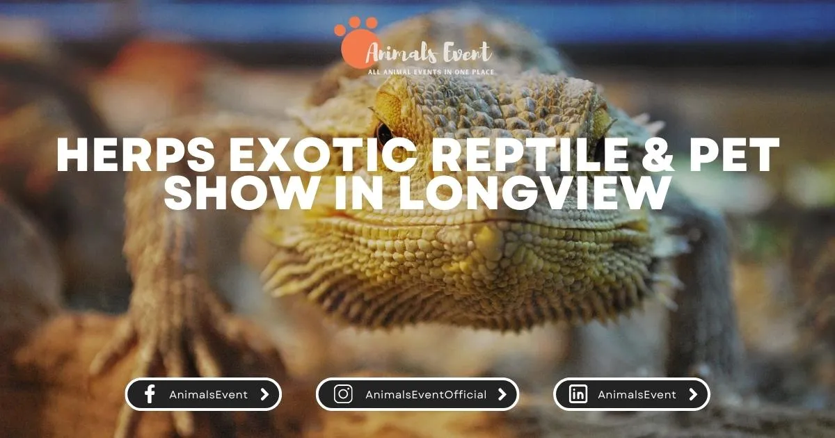 HERPS Exotic Reptile & Pet Show in Longview