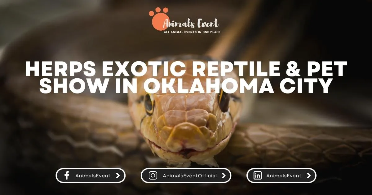 HERPS Exotic Reptile & Pet Show in Oklahoma City