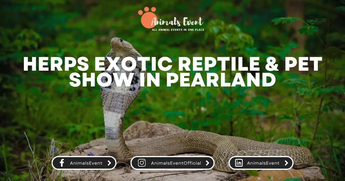 HERPS Exotic Reptile & Pet Show in Pearland