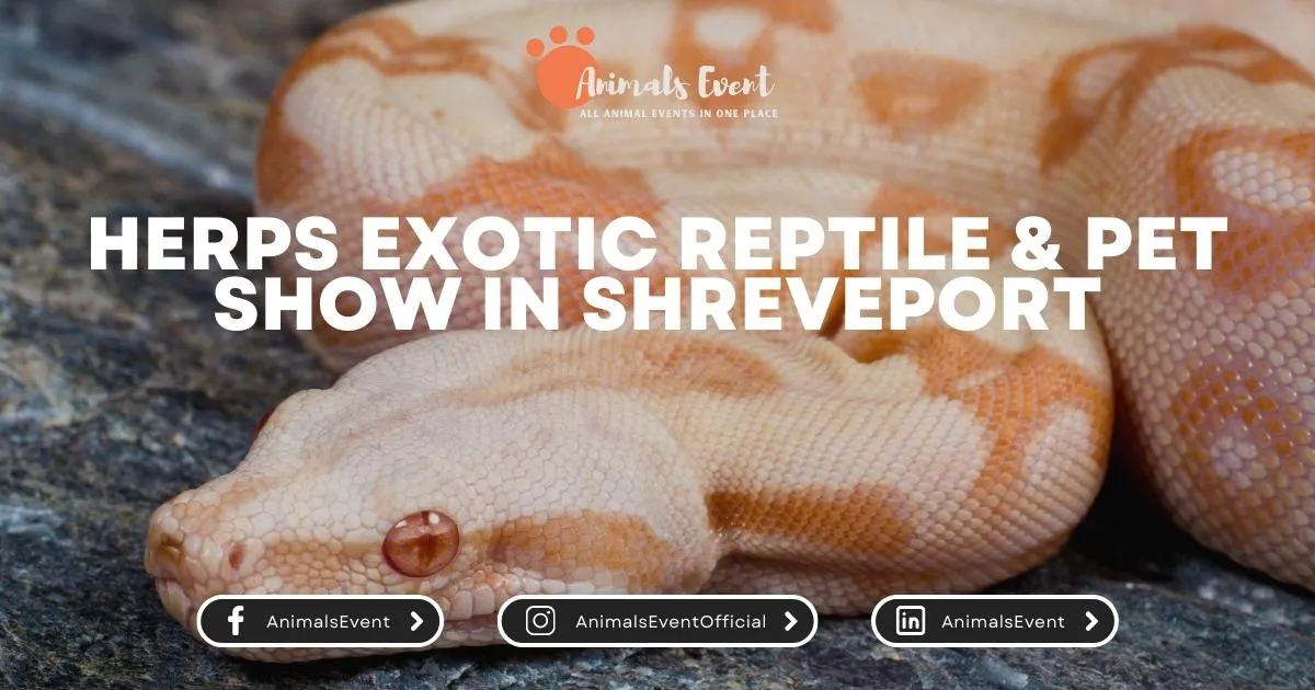 HERPS Exotic Reptile & Pet Show in Shreveport