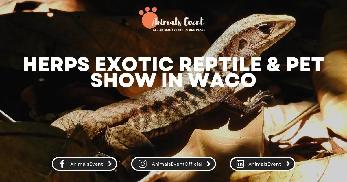 HERPS Exotic Reptile & Pet Show in Waco