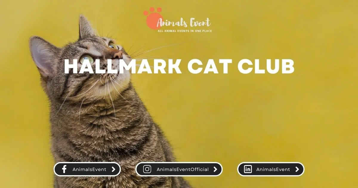 Hallmark Cat Club