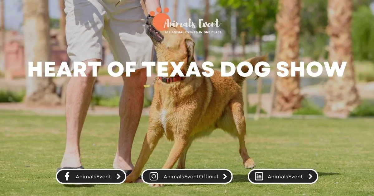 Heart of Texas Dog Show