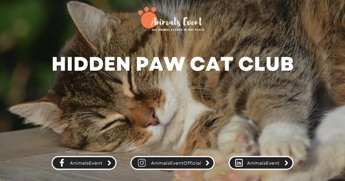 Hidden Paw Cat Club