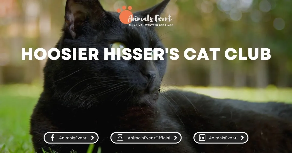 Hoosier Hisser's Cat Club