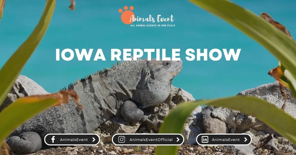 Iowa Reptile Show