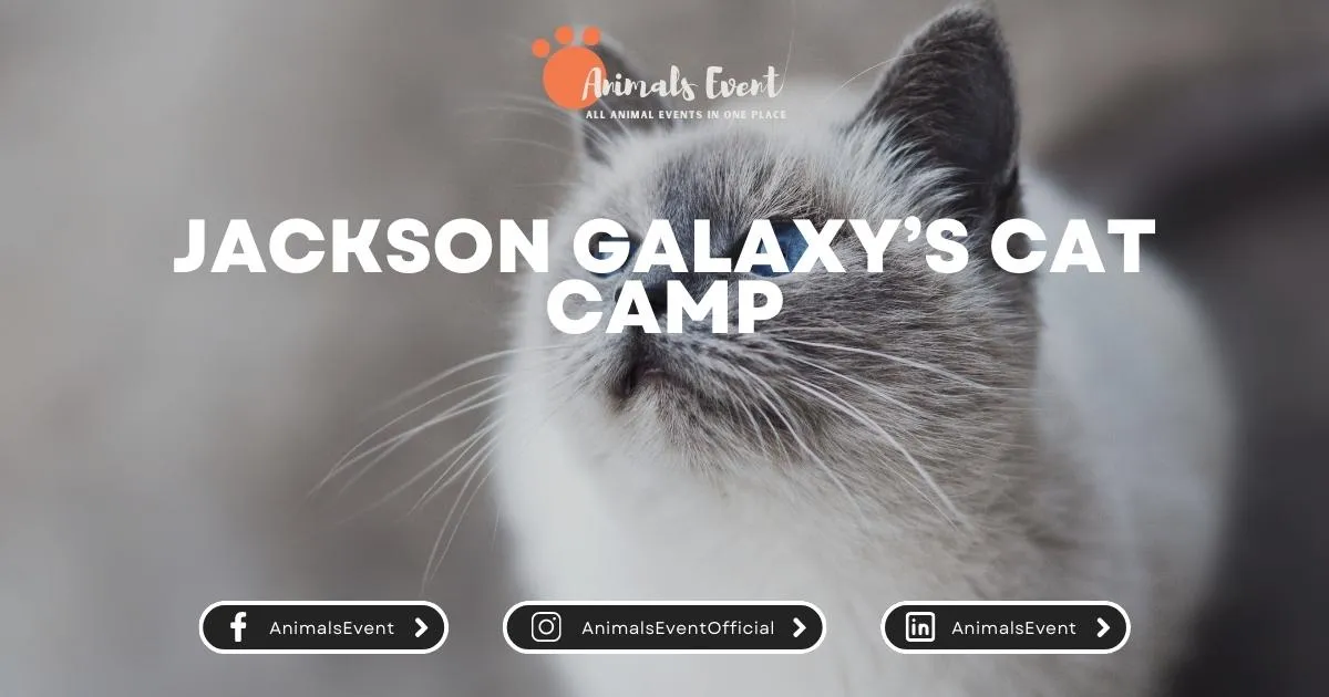 Jackson Galaxy’s Cat Camp