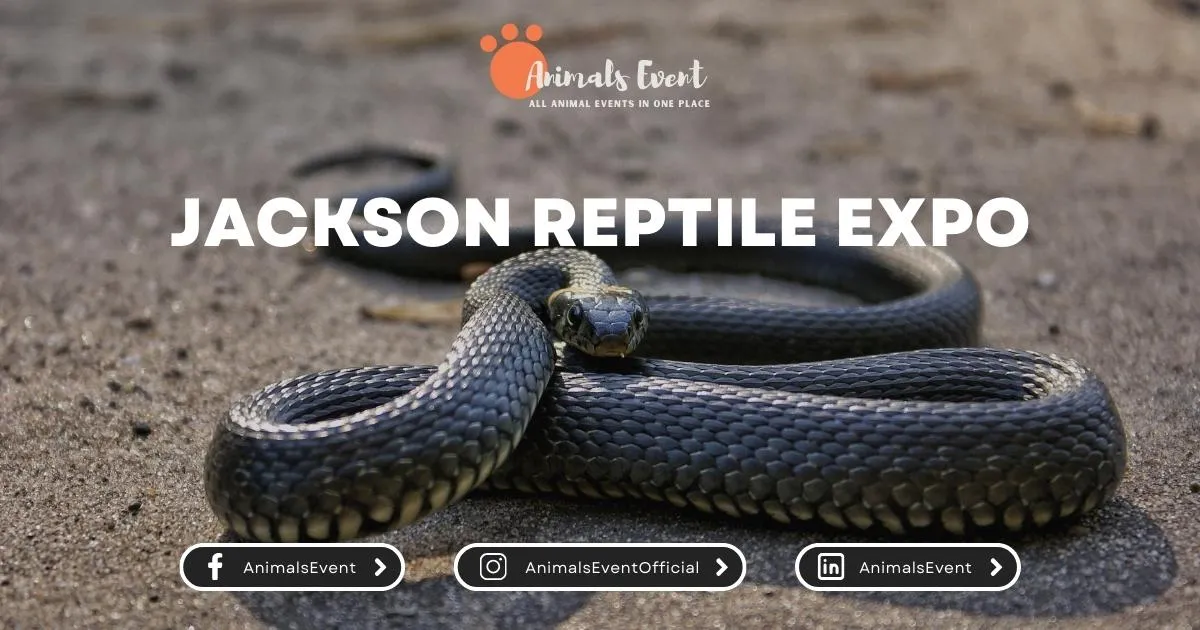 Jackson Reptile Expo Animals Event