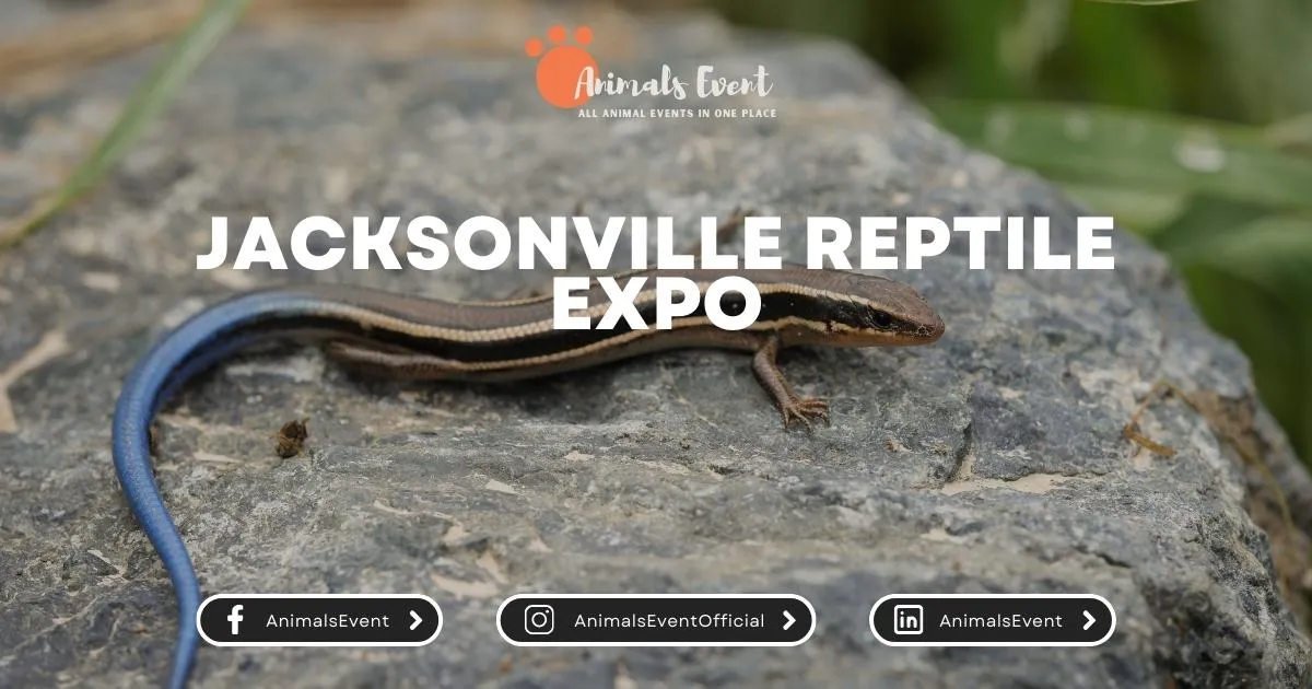 Jacksonville Reptile Expo