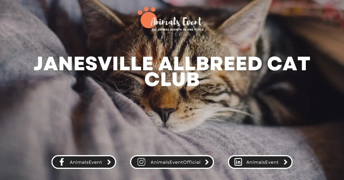 Janesville Allbreed Cat Club