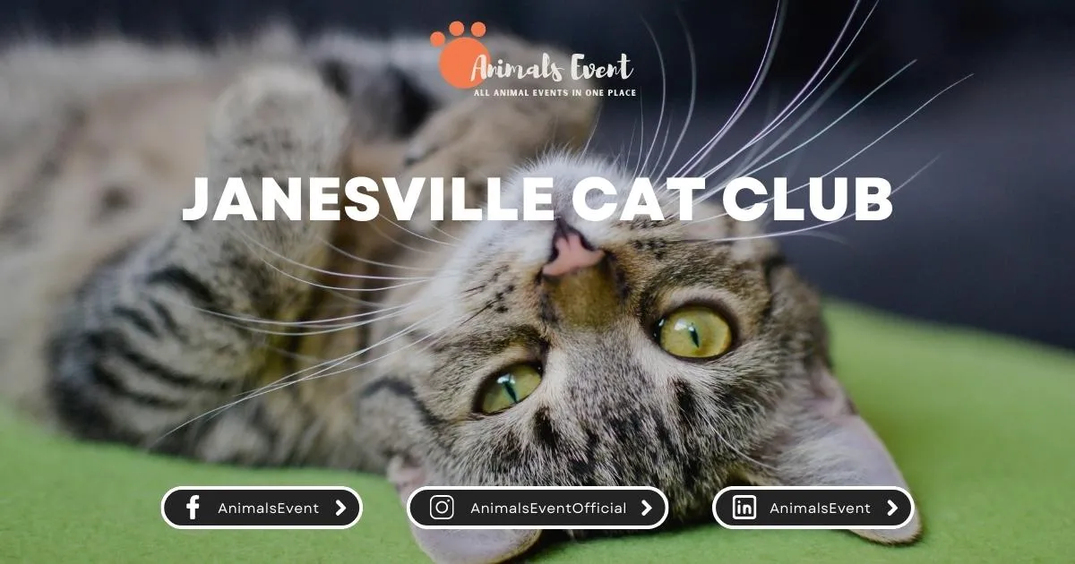 Janesville Cat Club