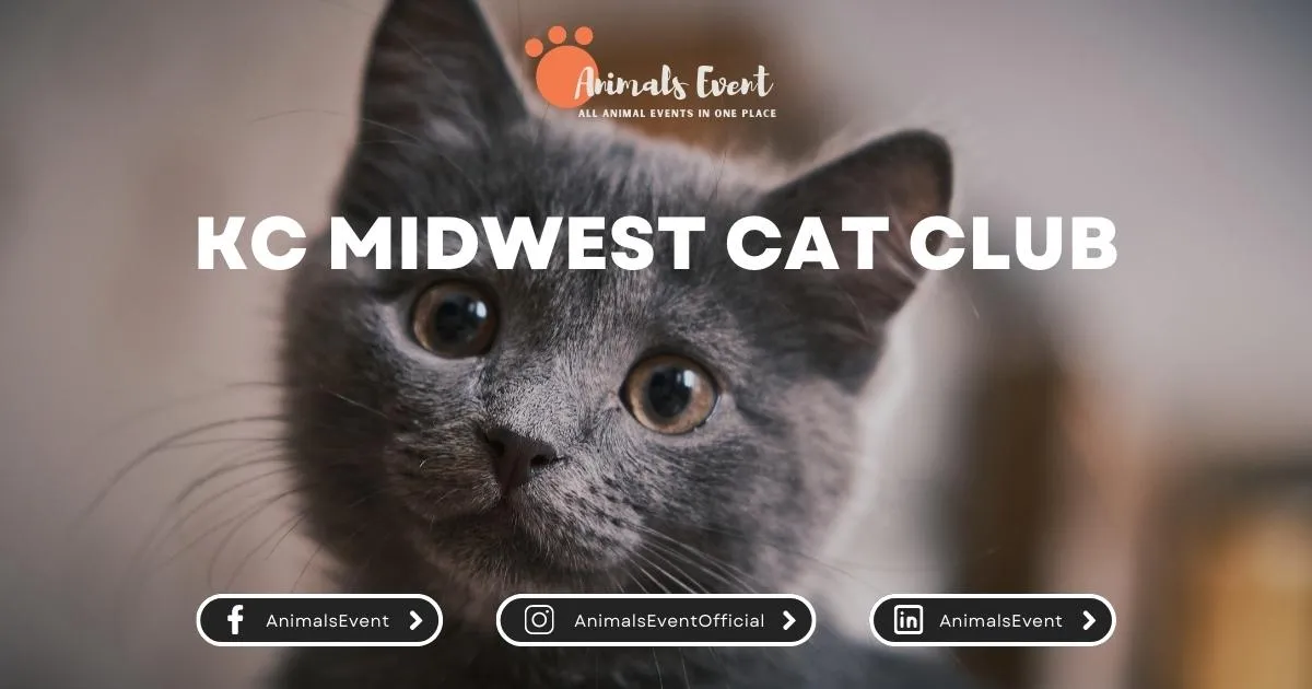 KC Midwest Cat Club