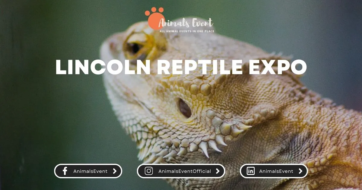 Lincoln Reptile Expo