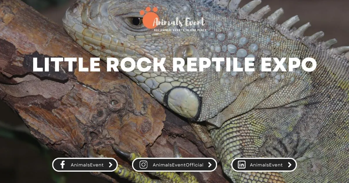Little Rock Reptile Expo