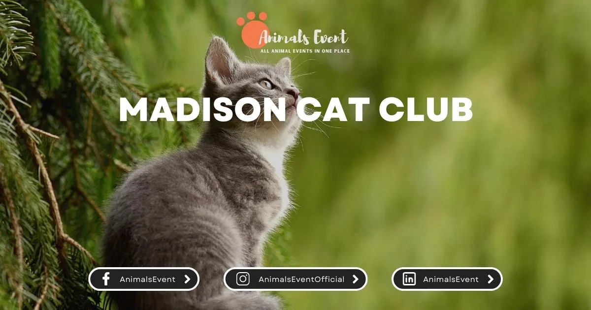 Madison Cat Club