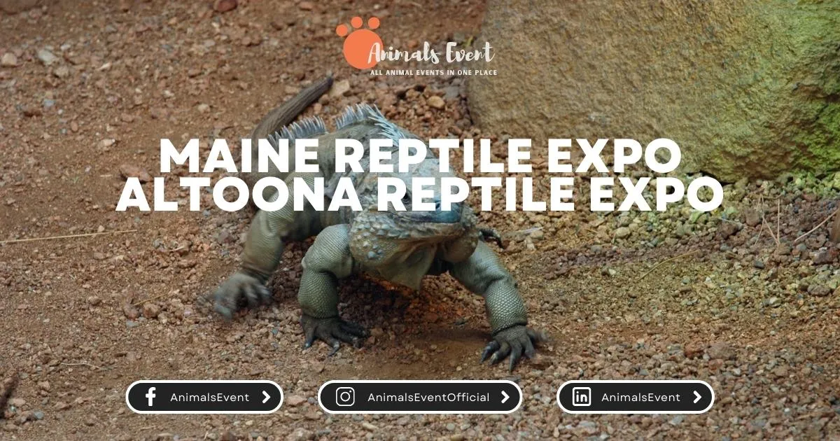 Maine Reptile Expo Altoona Reptile Expo